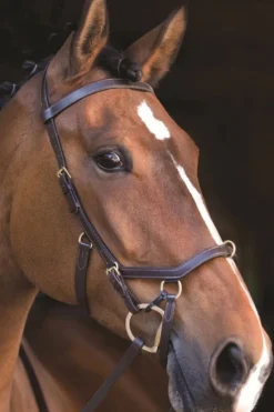 Horseware Horseware-Rambo Micklem Träns Multi