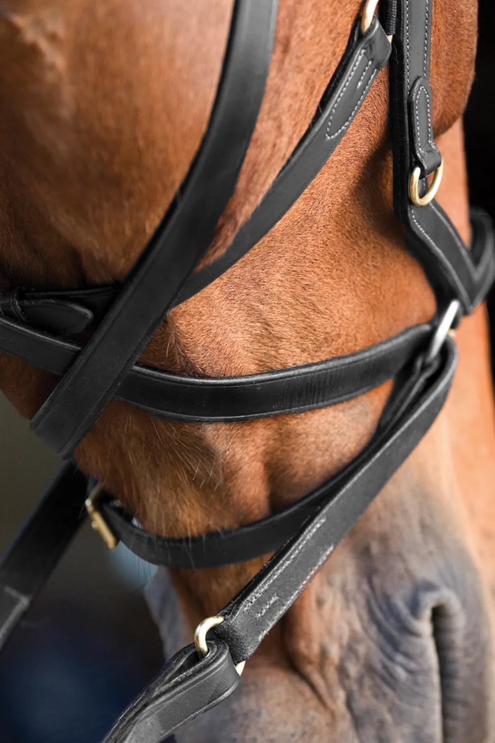 Horseware Horseware-Rambo Micklem Träns Multi