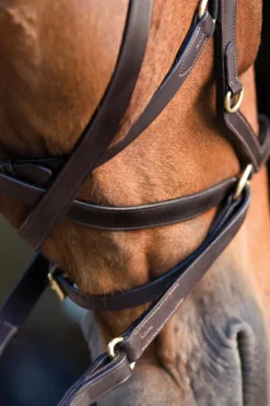 Horseware Horseware-Rambo Micklem Träns Multi