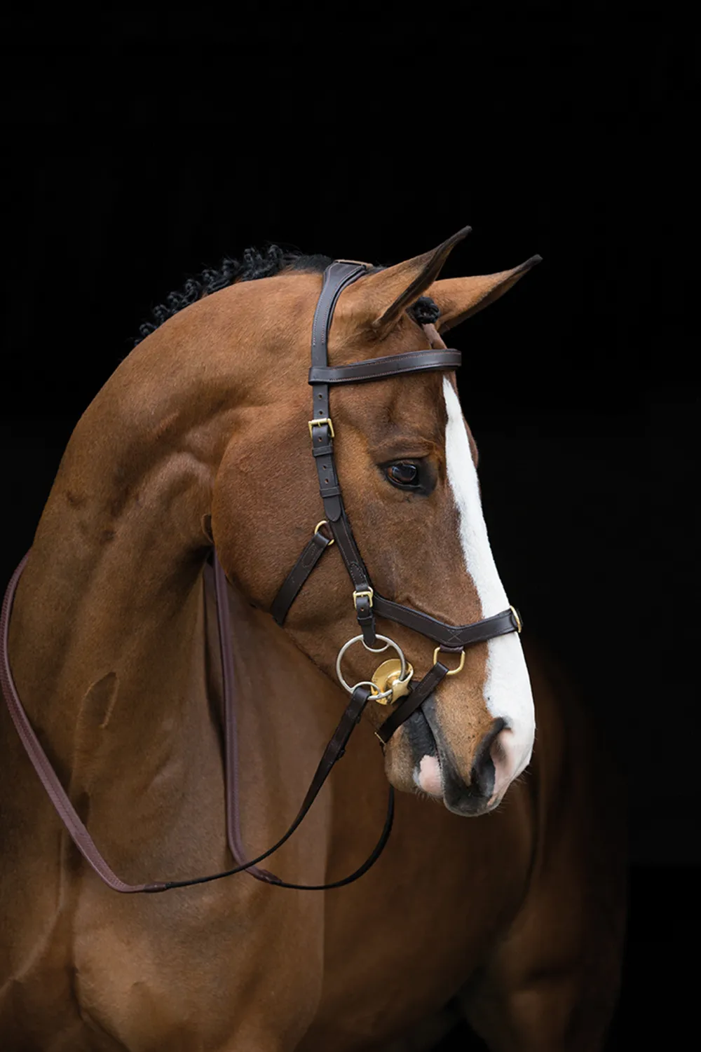 Horseware Horseware-Rambo Micklem Träns Multi