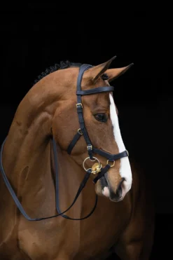 Horseware Horseware-Rambo Micklem Träns Multi
