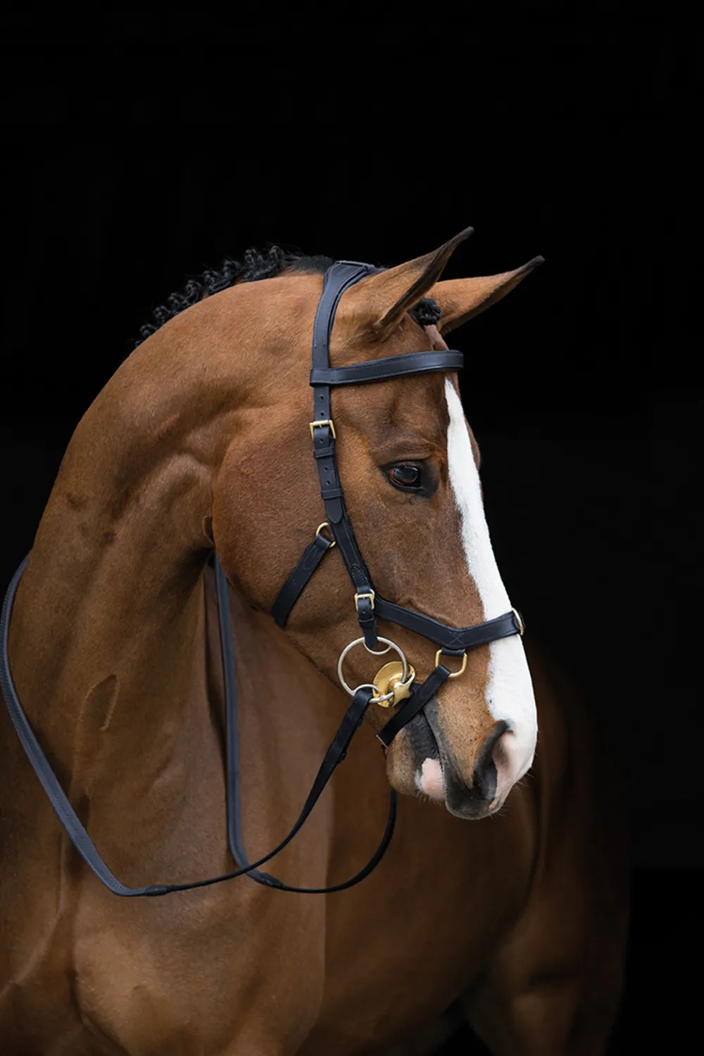 Horseware Horseware-Rambo Micklem Träns Multi