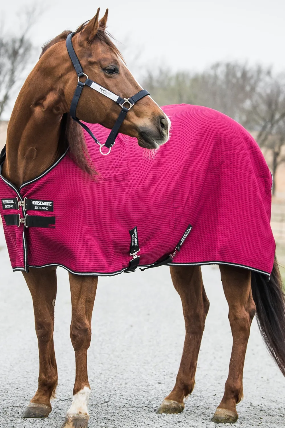 Horseware Horseware-Rabo Techni Waffe Cooer Täcke