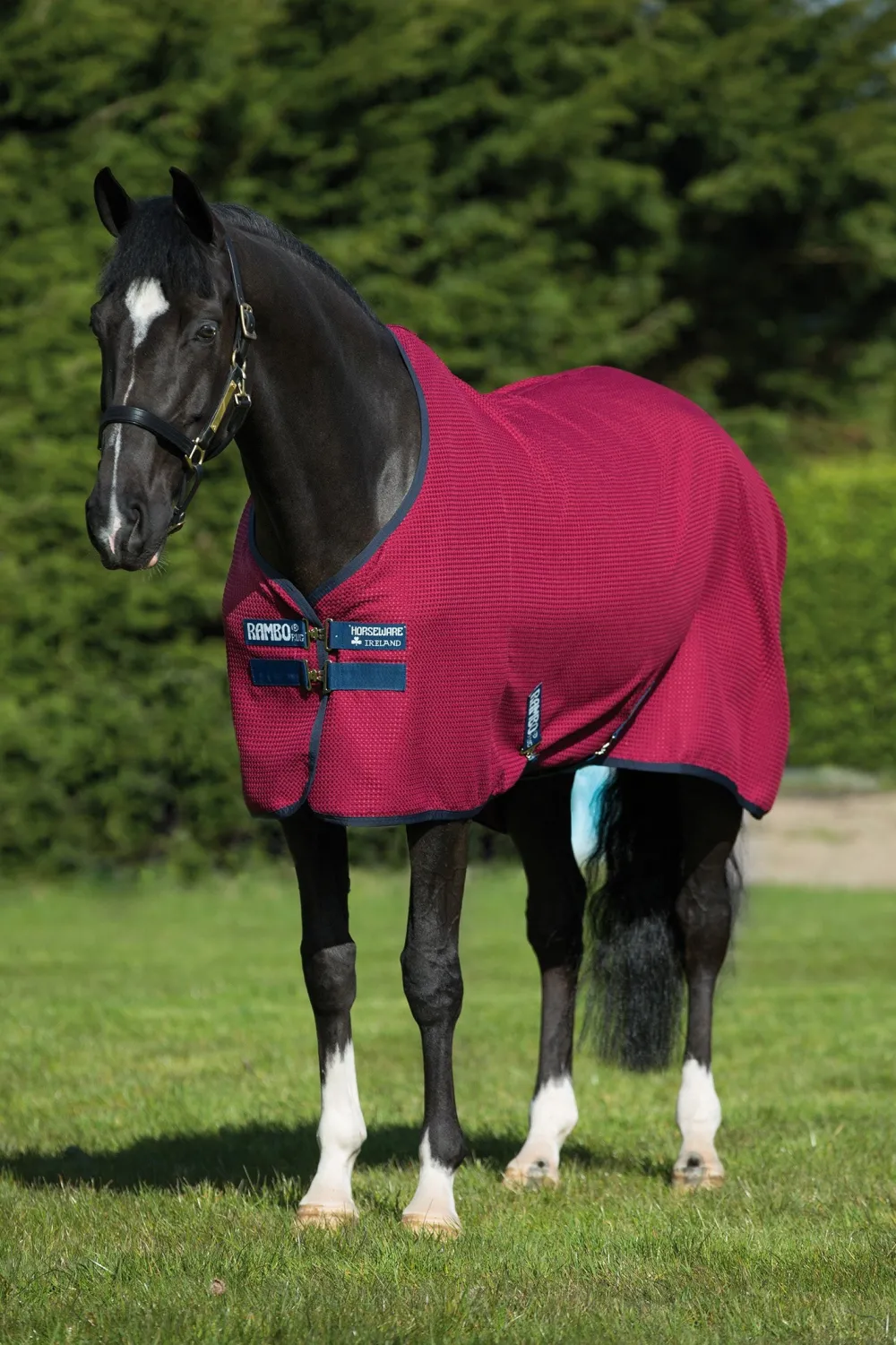 Horseware Horseware-Rabo Techni Waffe Cooer Täcke