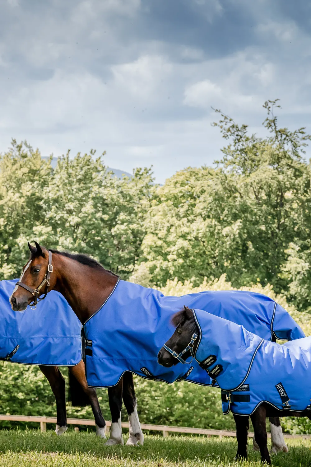 Horseware Hästtäcken & Flughuvor|Horseware-Regntäcke Amigo Hero Ripstop Lite 0g Pony