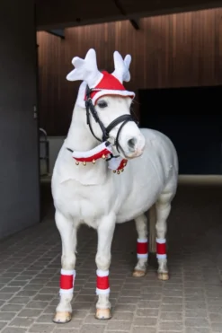 Horse Guard Schabrak & Huvor|Horse Guard-Renhuva Röd