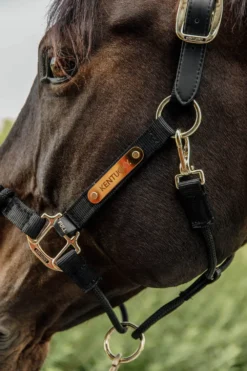 Kentucky Horsewear Grimmor & Grimskaft-Reprimma Svart