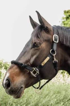 Kentucky Horsewear Grimmor & Grimskaft-Reprimma Svart