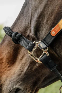 Kentucky Horsewear Grimmor & Grimskaft-Reprimma Svart
