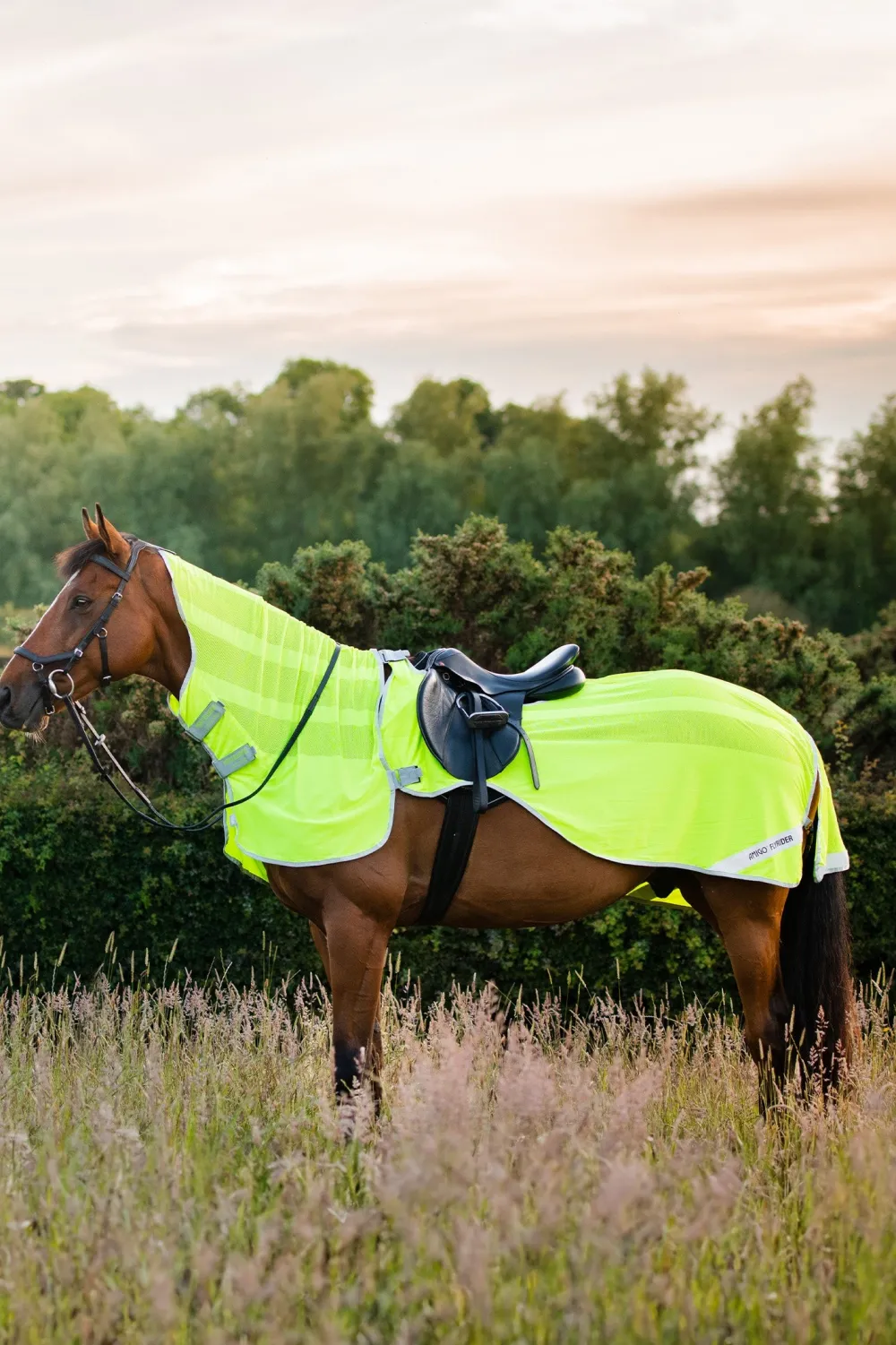 Horseware Horseware|Flugskydd-Ridfugtäcke Aigo Refex