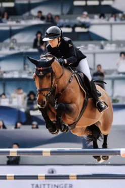Equiline Ridhjälmar|Equiline-Ridhjä Xanto Gossy Svart