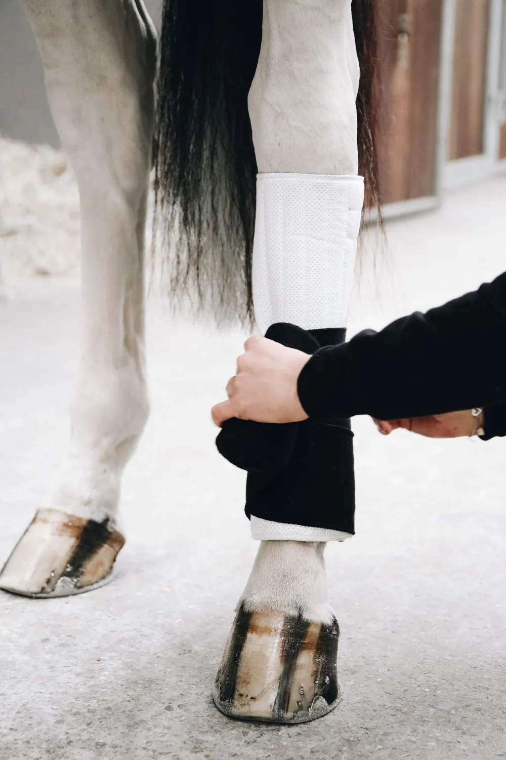 Kentucky Horsewear Benskydd & Benlindor-Ridpaddar Absorb Svart/Vit 45x30