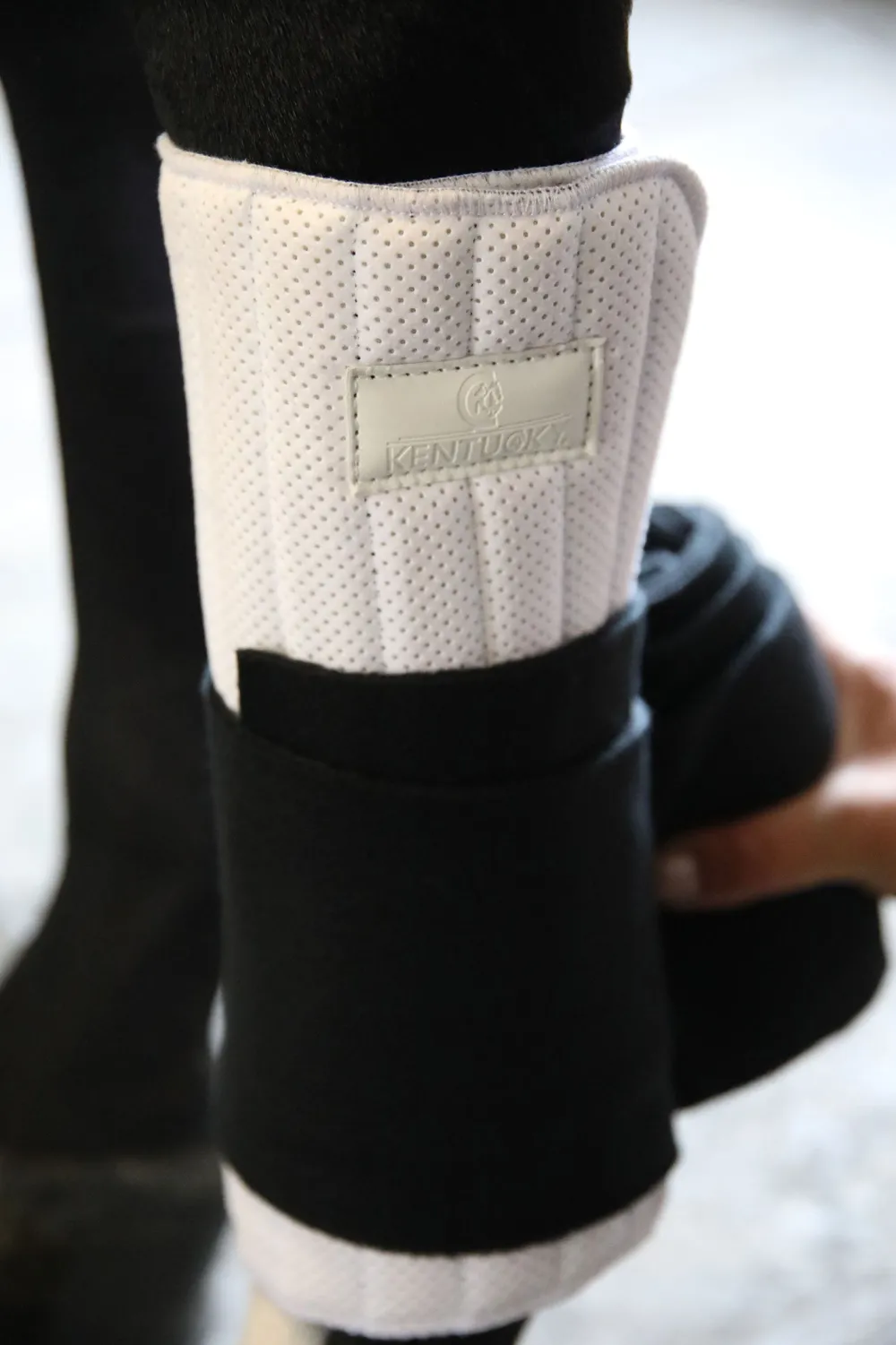 Kentucky Horsewear Benskydd & Benlindor-Ridpaddar Absorb Svart/Vit 45x30
