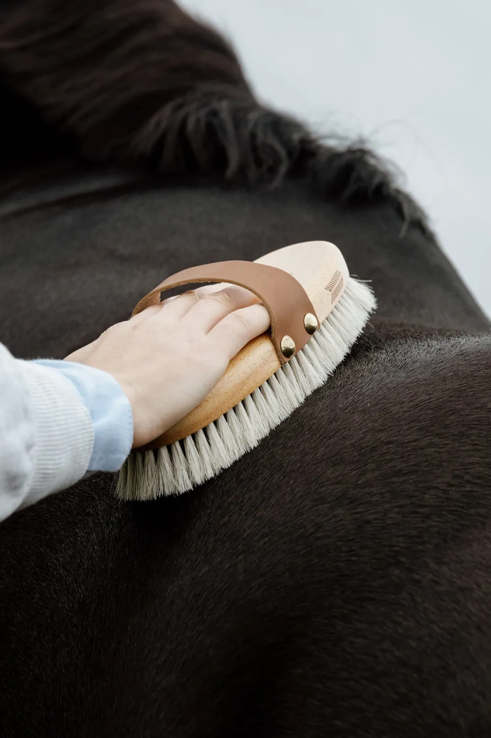 Grooming Deluxe Grooming Deluxe|Ryktväskor & Ryktborstar-Ryktborste Glans