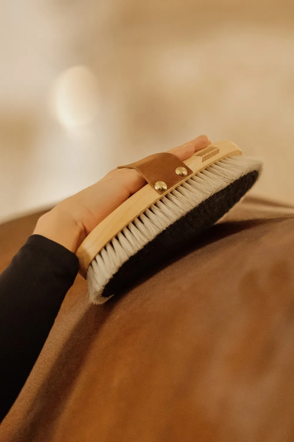 Grooming Deluxe Grooming Deluxe|Ryktväskor & Ryktborstar-Ryktborste Glans