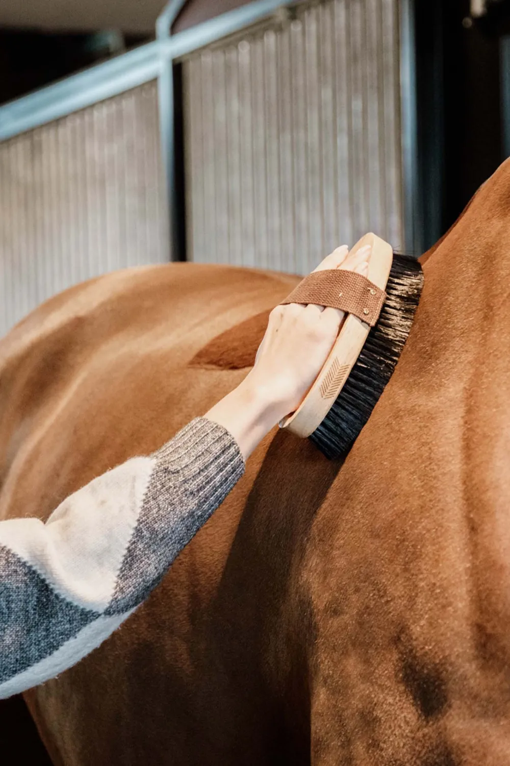 Grooming Deluxe Grooming Deluxe|Ryktväskor & Ryktborstar-Ryktborste Hård