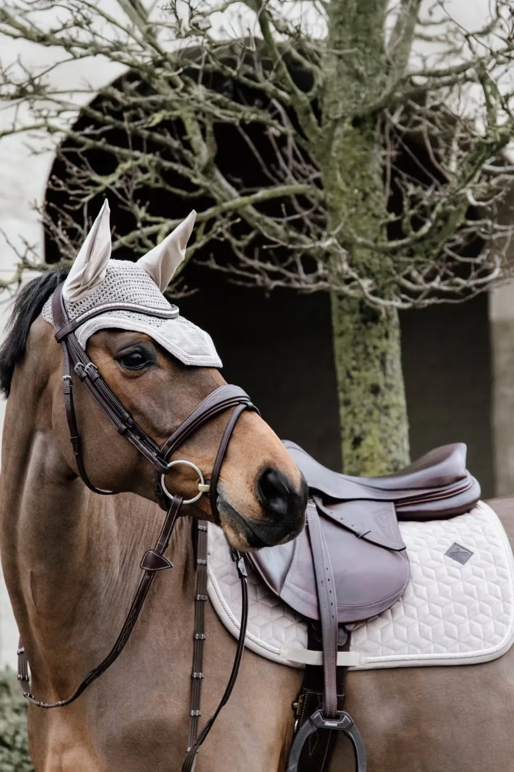 Kentucky Horsewear Kentucky Horsewear|Schabrak & Huvor-Schabrak Basic Velvet Beige