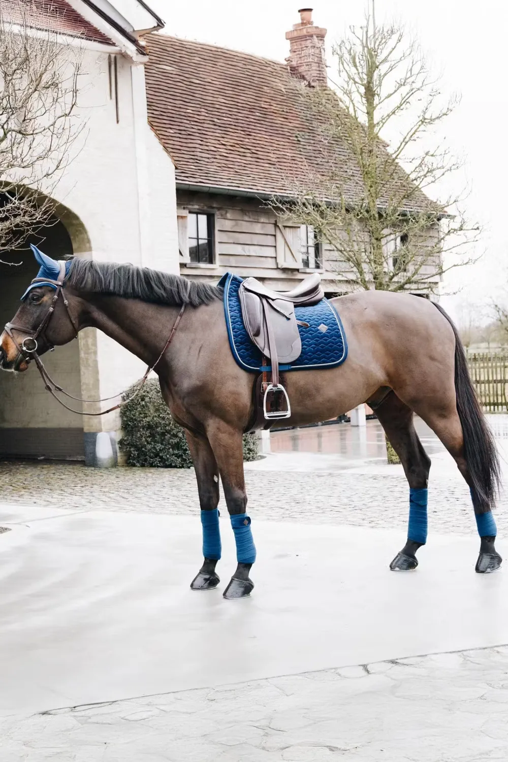 Kentucky Horsewear Kentucky Horsewear|Schabrak & Huvor-Schabrak Basic Velvet Navy