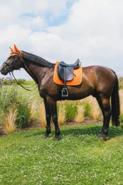 Kentucky Horsewear Kentucky Horsewear|Schabrak & Huvor-Schabrak Diamond Rope Orange