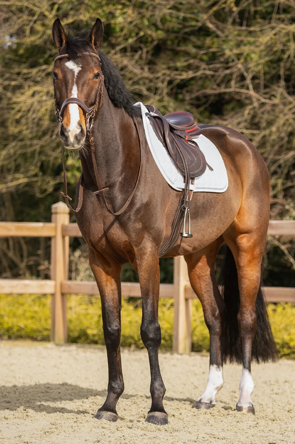 QHP Qhp|Schabrak & Huvor-Schabrak Firenze Vit