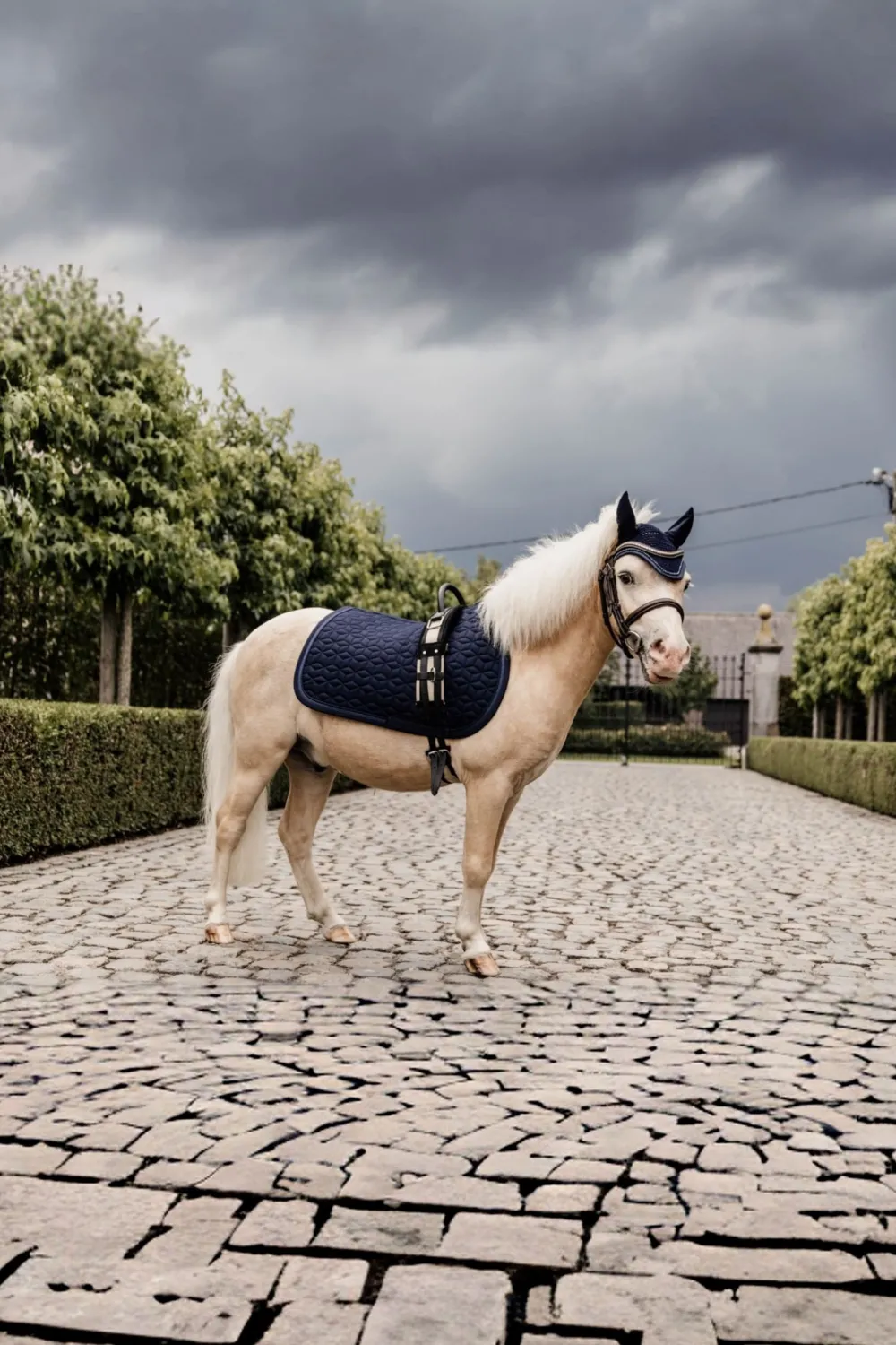 Kentucky Horsewear Kentucky Horsewear|Schabrak & Huvor-Schabrak Glitter Rope Ponny Navy