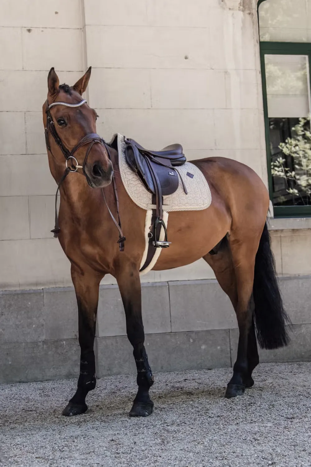 Kentucky Horsewear Schabrak & Huvor-Schabrak Pied-De-Poule Beige