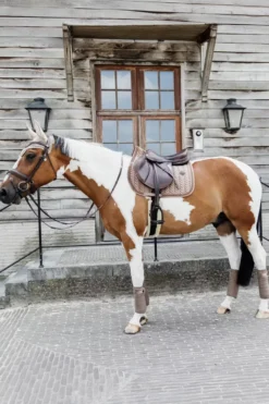 Kentucky Horsewear Kentucky Horsewear|Schabrak & Huvor-Schabrak Velvet Pearls Beige