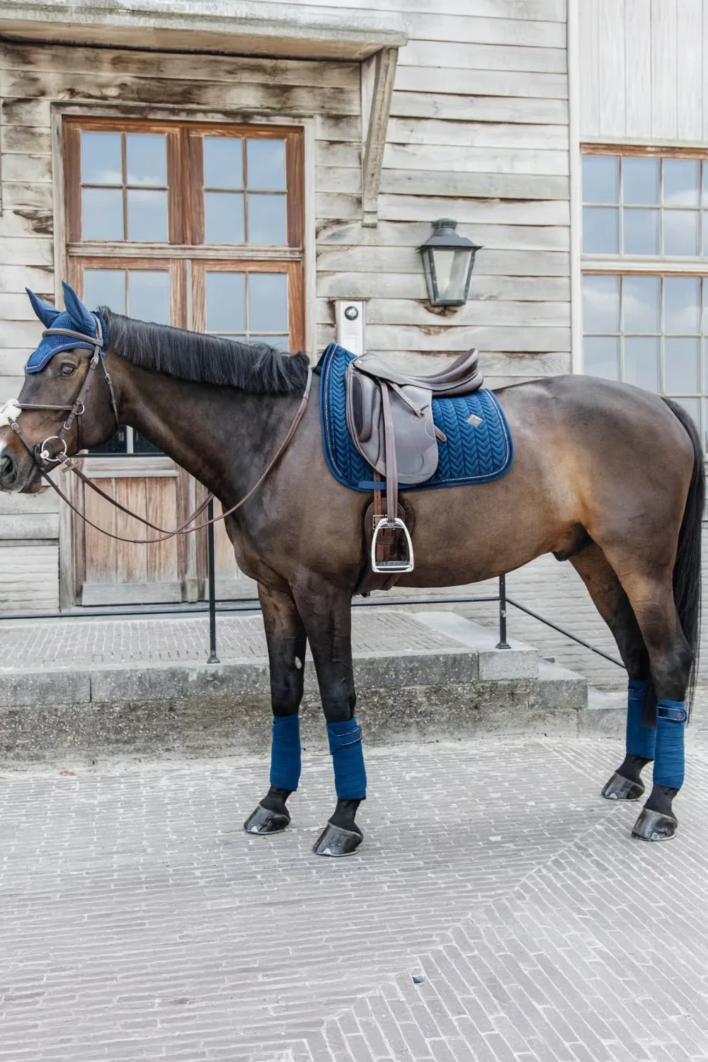 Kentucky Horsewear Kentucky Horsewear|Schabrak & Huvor-Schabrak Velvet Pearls Navy