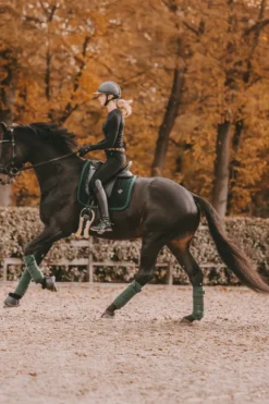 Kentucky Horsewear Kentucky Horsewear|Schabrak & Huvor-Schabrak Velvet Pearls Pine Green