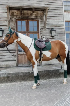 Kentucky Horsewear Kentucky Horsewear|Schabrak & Huvor-Schabrak Velvet Pearls Pine Green