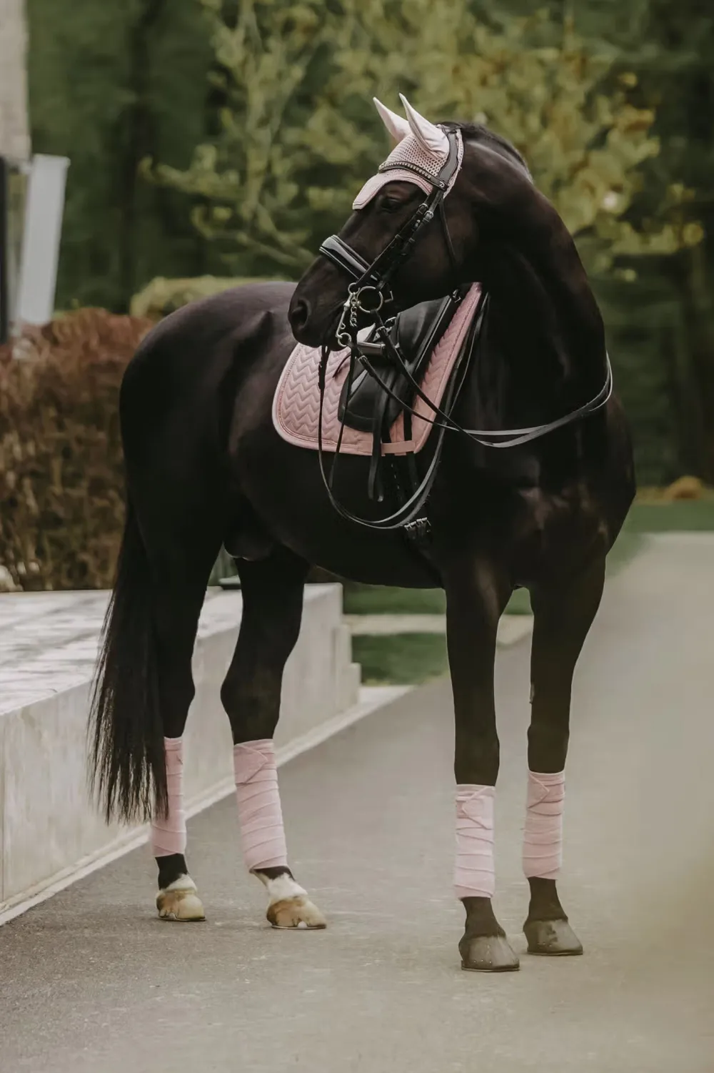 Kentucky Horsewear Kentucky Horsewear|Schabrak & Huvor-Schabrak Velvet Pearls Soft Rose