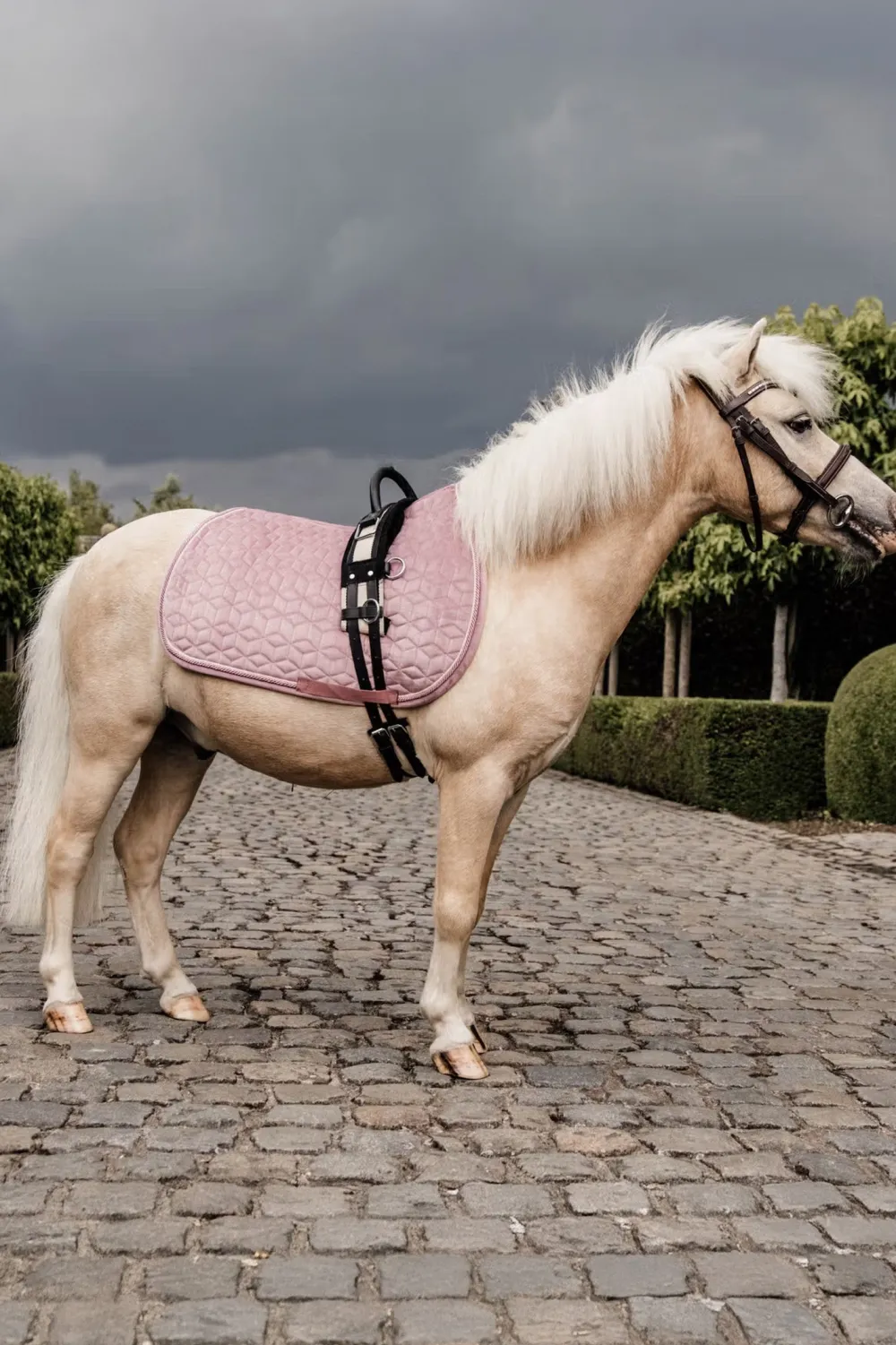 Kentucky Horsewear Kentucky Horsewear|Schabrak & Huvor-Schabrak Velvet Ponny Old Rose