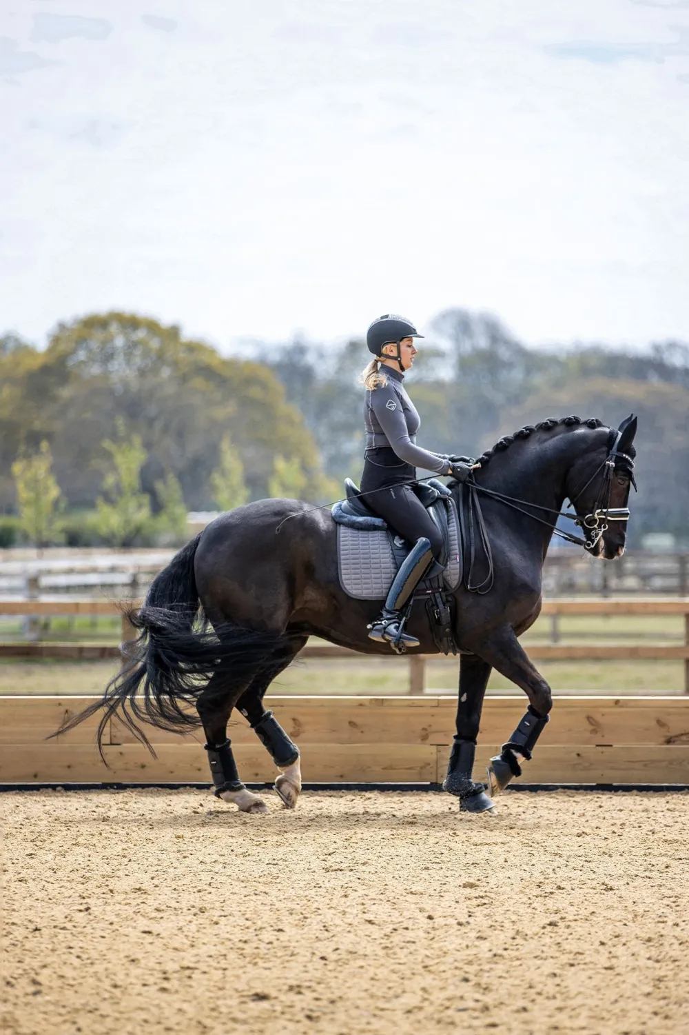LeMieux Schabrak & Huvor|Lemieux-Sef Coo Dressyrschabrak