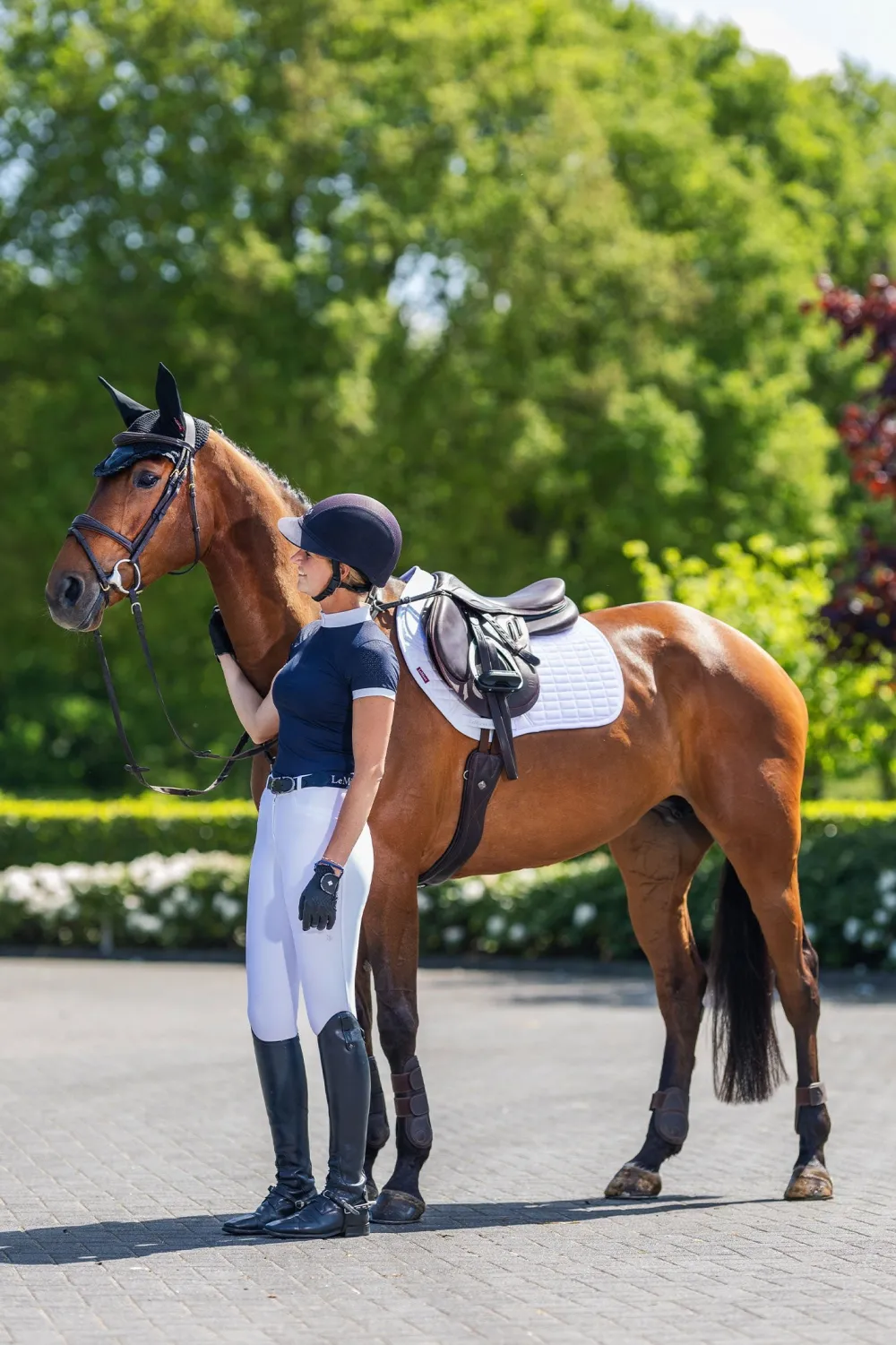 LeMieux Schabrak & Huvor|Lemieux-Sef Coo Hoppschabrak