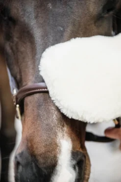 Grooming Deluxe Grooming Deluxe|Ryktväskor & Ryktborstar-Sheepskin Grooming Glove