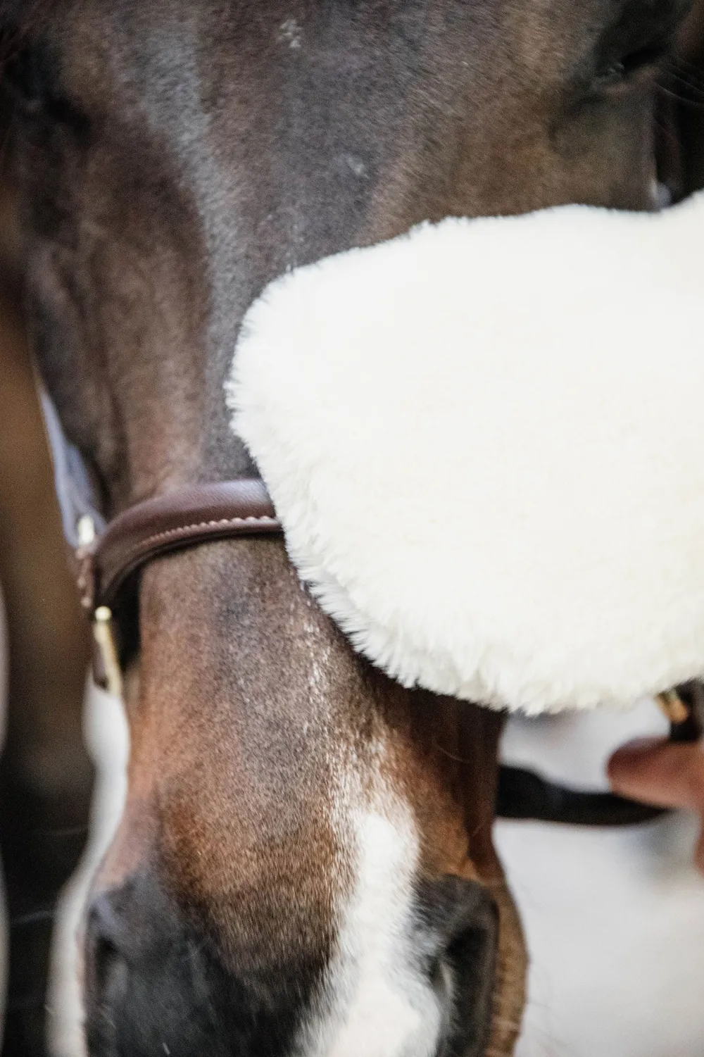 Grooming Deluxe Grooming Deluxe|Ryktväskor & Ryktborstar-Sheepskin Grooming Glove