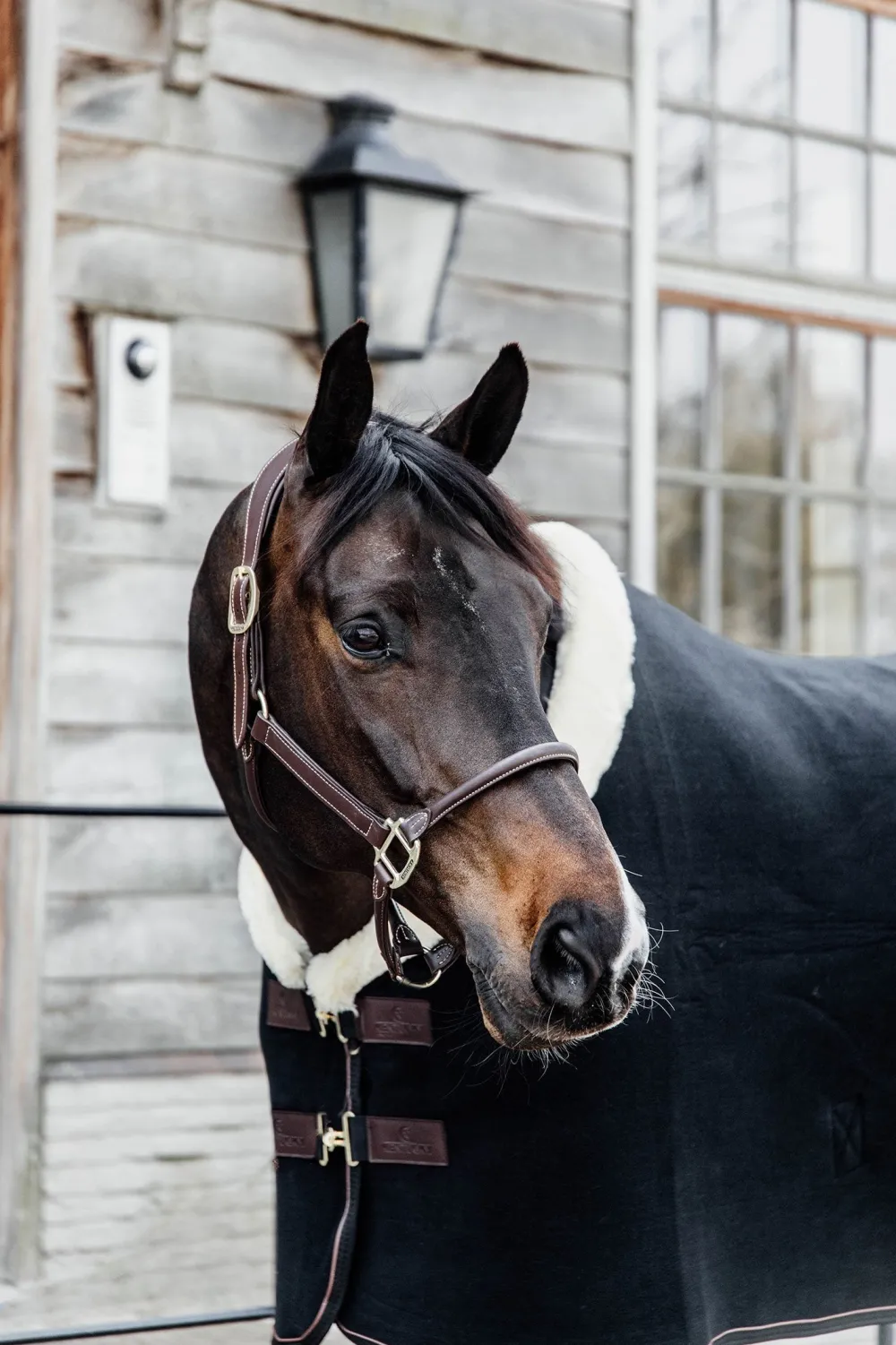 Kentucky Horsewear Hästtäcken & Flughuvor|Kentucky Horsewear-Show Heavy Fleecetäcke Svart