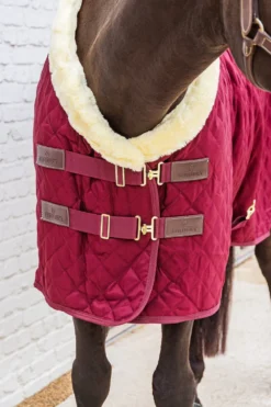 Kentucky Horsewear Hästtäcken & Flughuvor|Kentucky Horsewear-Show Rug Stalltäcke G Bordeaux