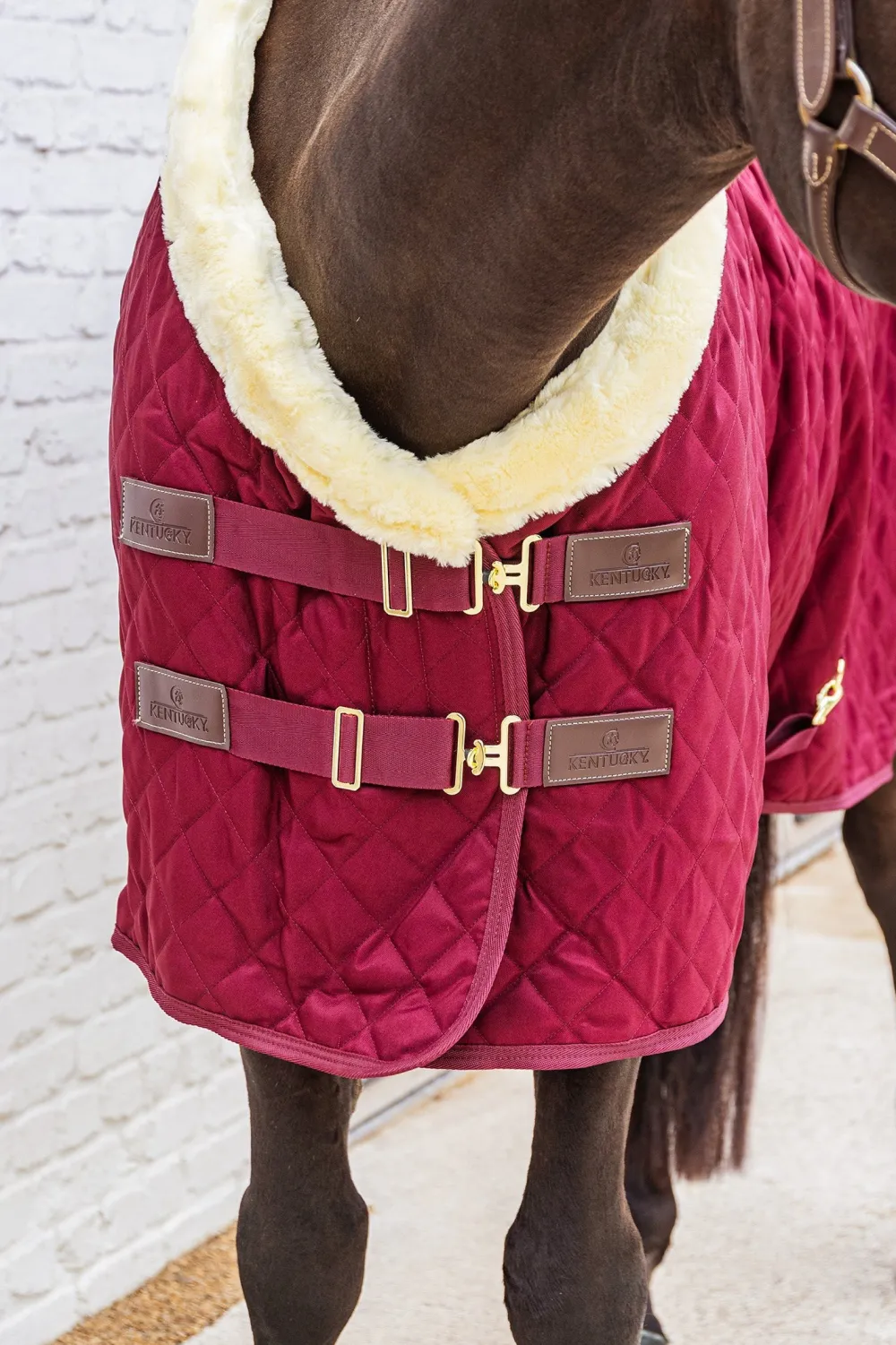 Kentucky Horsewear Hästtäcken & Flughuvor|Kentucky Horsewear-Show Rug Stalltäcke G Bordeaux