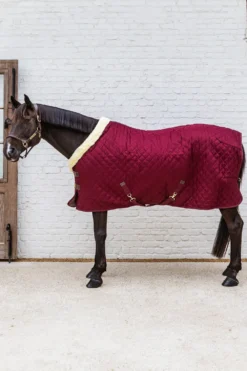 Kentucky Horsewear Hästtäcken & Flughuvor|Kentucky Horsewear-Show Rug Stalltäcke G Bordeaux
