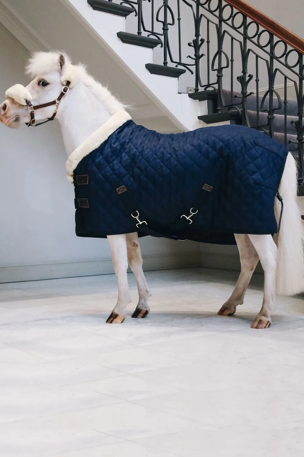 Kentucky Horsewear Hästtäcken & Flughuvor-Show Rug Tiny Kollektion Navy