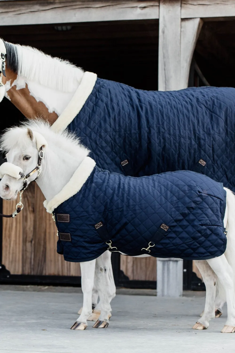 Kentucky Horsewear Hästtäcken & Flughuvor-Show Rug Tiny Kollektion Navy