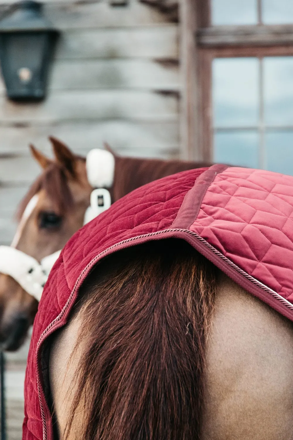 Kentucky Horsewear Hästtäcken & Flughuvor|Kentucky Horsewear-Show Rug Velvet g Bordeaux