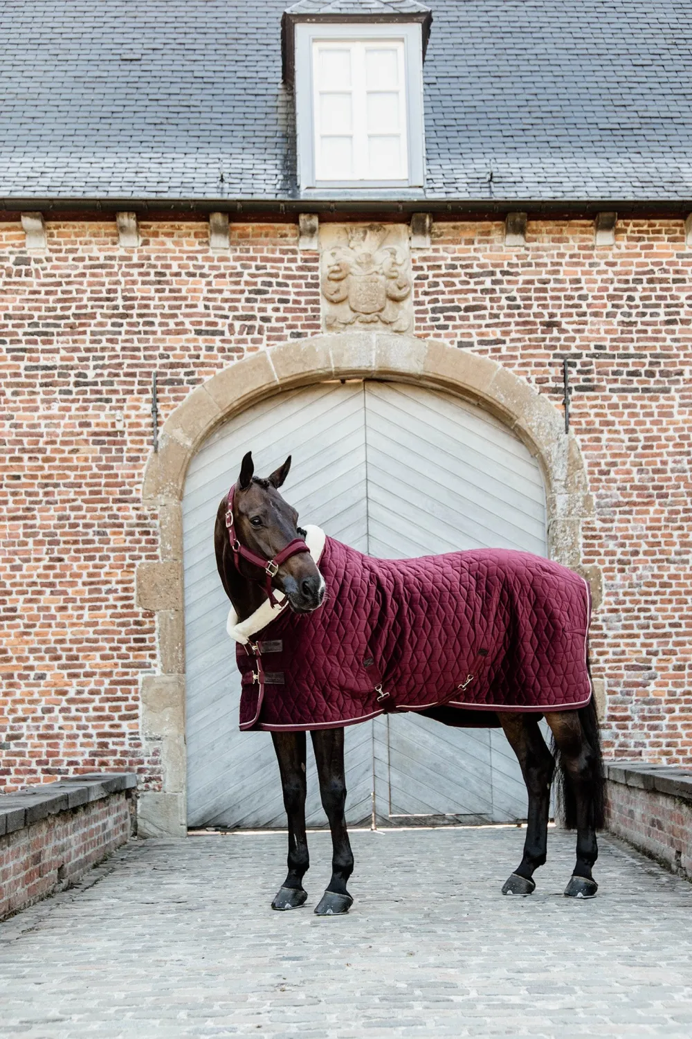 Kentucky Horsewear Hästtäcken & Flughuvor|Kentucky Horsewear-Show Rug Velvet g Bordeaux
