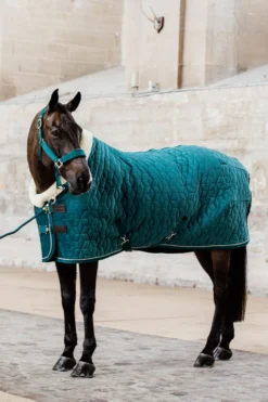 Kentucky Horsewear Hästtäcken & Flughuvor|Kentucky Horsewear-Show Rug Velvet g Emerald