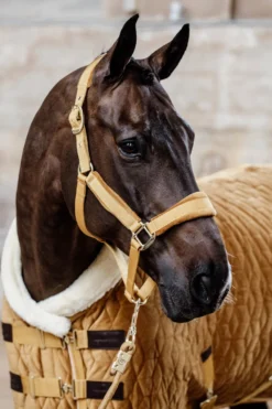 Kentucky Horsewear Hästtäcken & Flughuvor|Kentucky Horsewear-Show Rug Velvet g Mustard