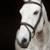 Källquist Equestrian Träns & Pannband|Källquist Equestrian-Sir Patric Träns Brun
