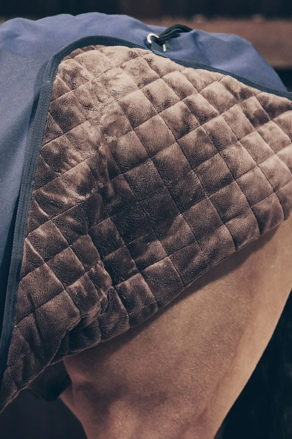 Kentucky Horsewear Hästtäcken & Flughuvor-Skrittmaskinstäcke Vattentätt Navy