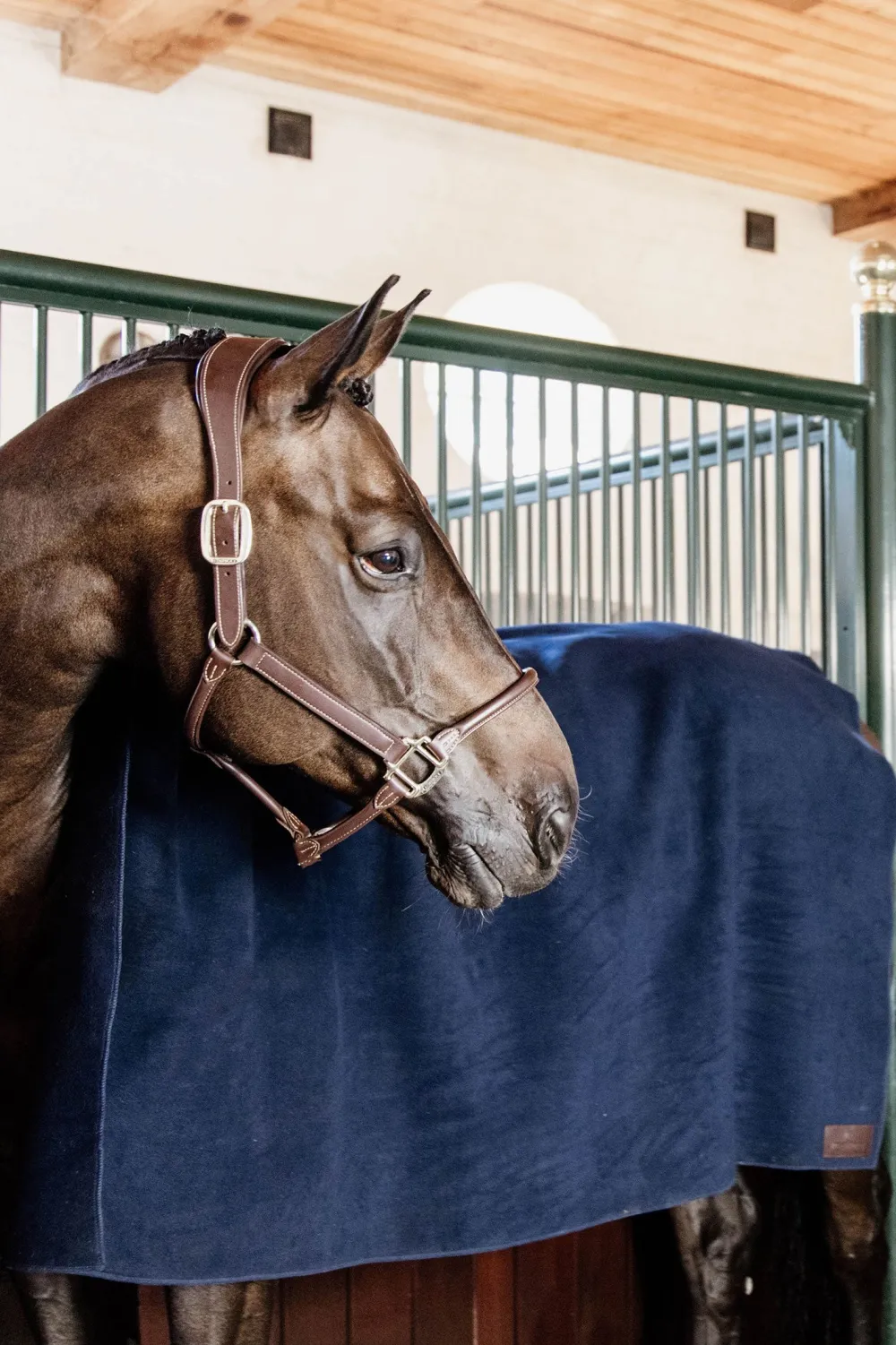 Kentucky Horsewear Hästtäcken & Flughuvor|Kentucky Horsewear-Square Fleecefilt 140*160 Navy