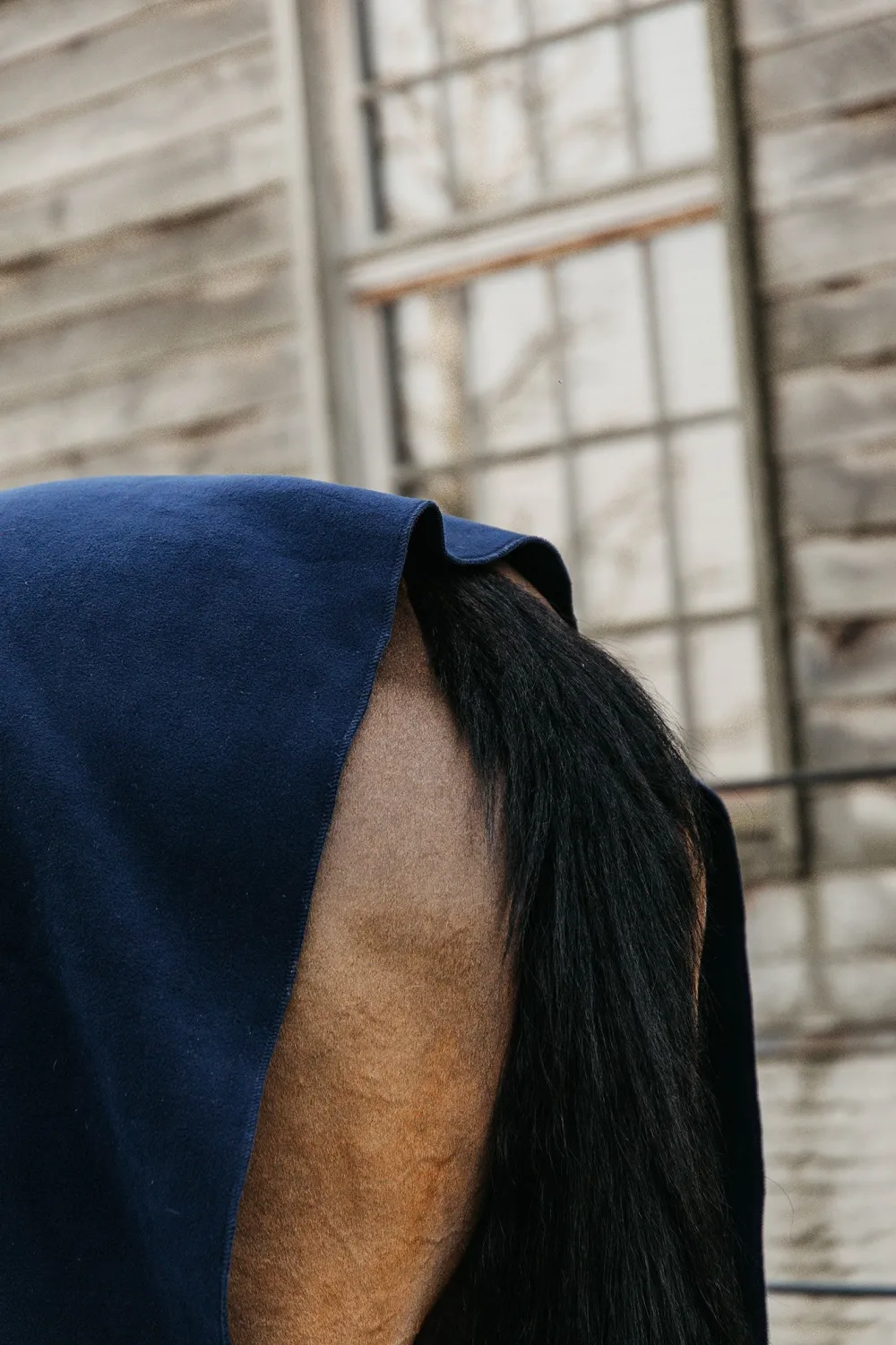 Kentucky Horsewear Hästtäcken & Flughuvor|Kentucky Horsewear-Square Fleecefilt 140*160 Navy